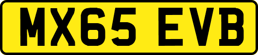 MX65EVB
