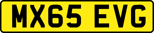 MX65EVG