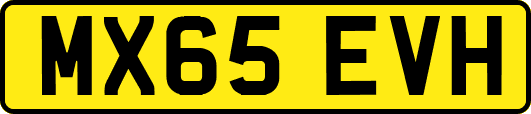 MX65EVH