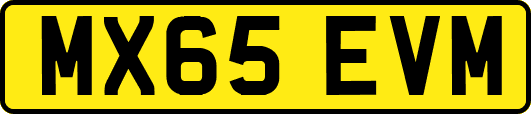 MX65EVM