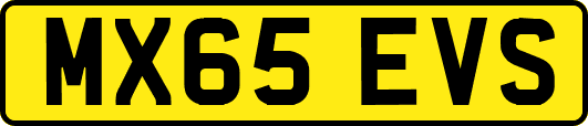 MX65EVS