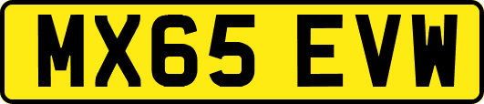 MX65EVW
