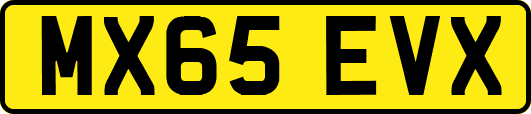 MX65EVX