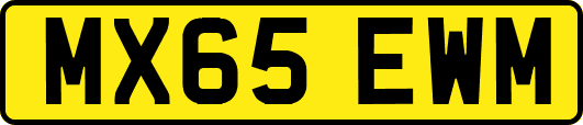 MX65EWM