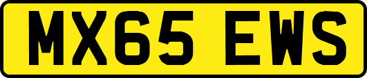 MX65EWS