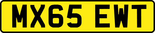 MX65EWT