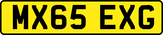 MX65EXG