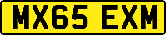 MX65EXM
