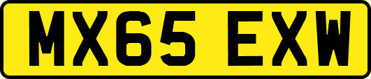 MX65EXW