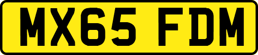 MX65FDM