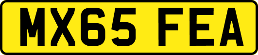 MX65FEA