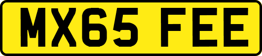 MX65FEE