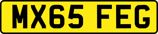 MX65FEG