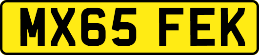 MX65FEK