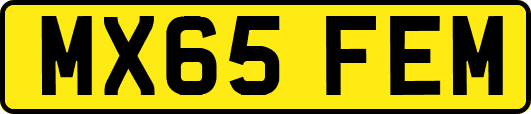 MX65FEM