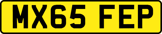 MX65FEP