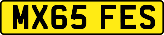 MX65FES