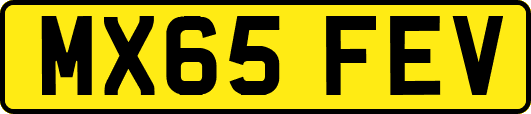 MX65FEV