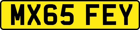 MX65FEY