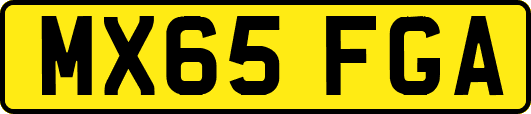 MX65FGA