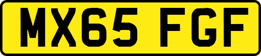 MX65FGF