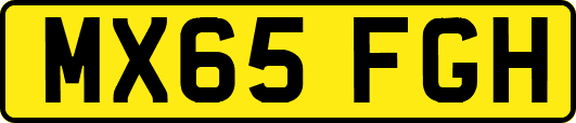 MX65FGH