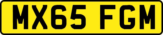 MX65FGM