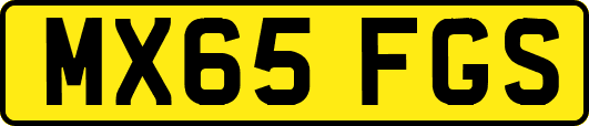 MX65FGS