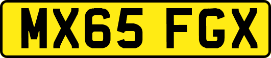 MX65FGX