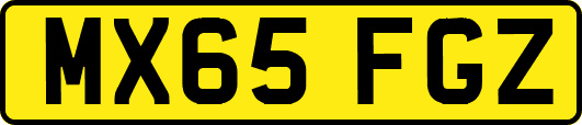 MX65FGZ