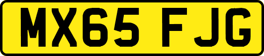 MX65FJG