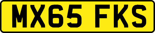 MX65FKS