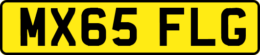 MX65FLG