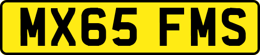 MX65FMS