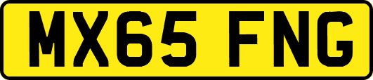MX65FNG