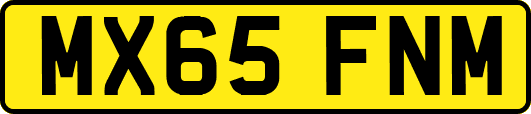 MX65FNM