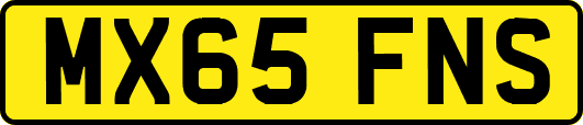 MX65FNS