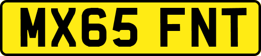 MX65FNT