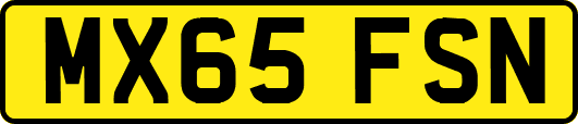 MX65FSN