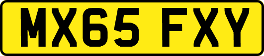 MX65FXY