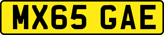 MX65GAE