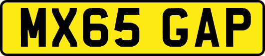 MX65GAP