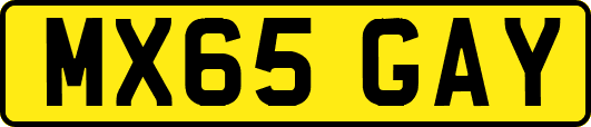 MX65GAY