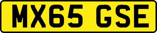 MX65GSE