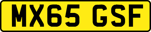 MX65GSF
