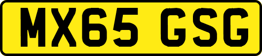 MX65GSG