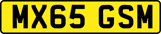 MX65GSM