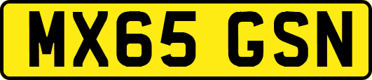 MX65GSN