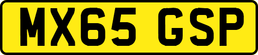 MX65GSP