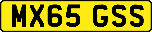 MX65GSS